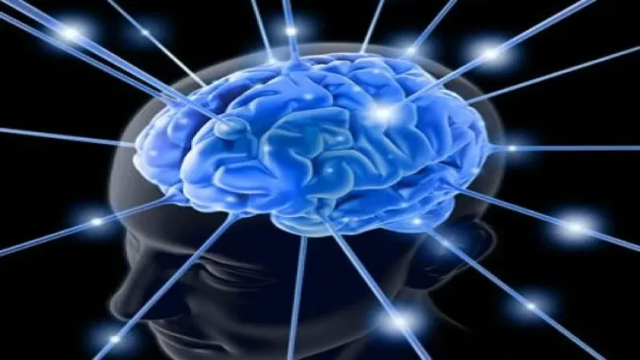 Manfaat Berpuasa dalam Merangsang Pertumbuhan Neuron di Otak